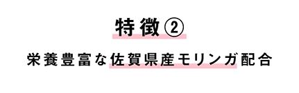 特徴２　栄養豊富な佐賀県産モリンガ配合