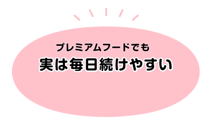 実は毎日続けやすい