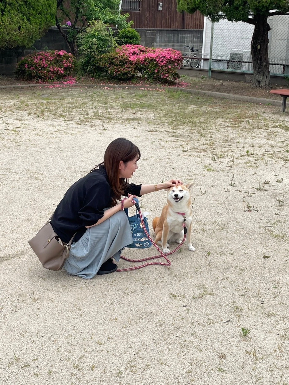 モニター様の声