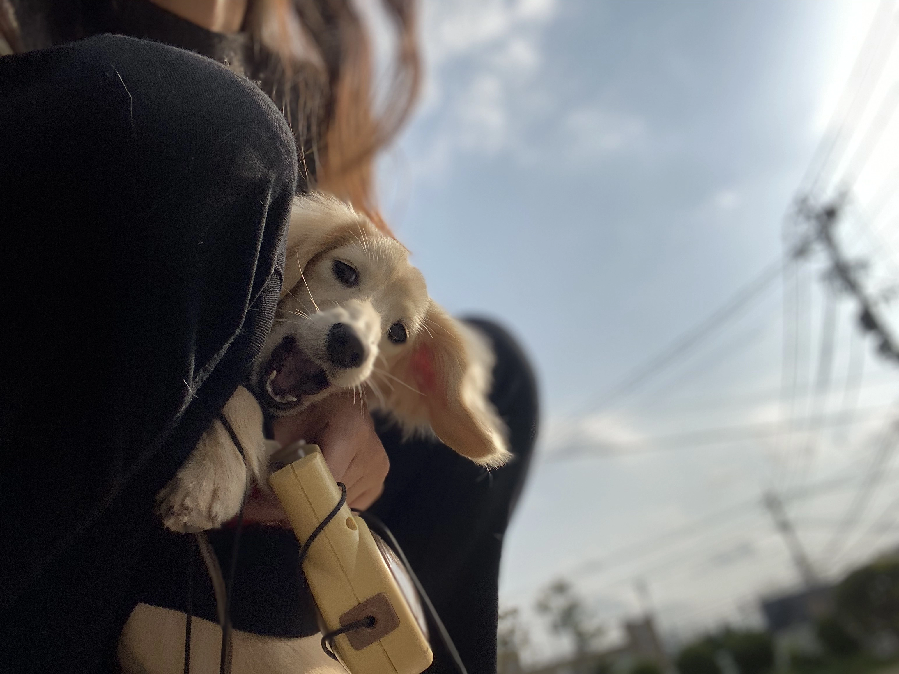 モニター様の声